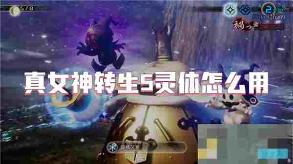 真女神转生5灵体攻略力量探索与战略决策核心