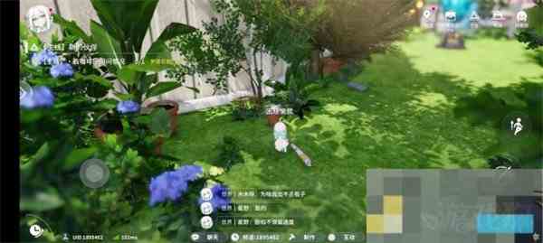 开放世界瓶中小径全收藏品位置方法