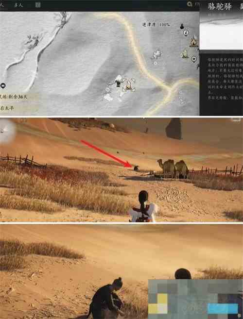 燕云十六声骆驼铃铛任务攻略介绍