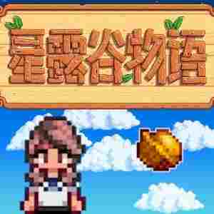 星露谷物语里奇赛德村季节性服装MOD