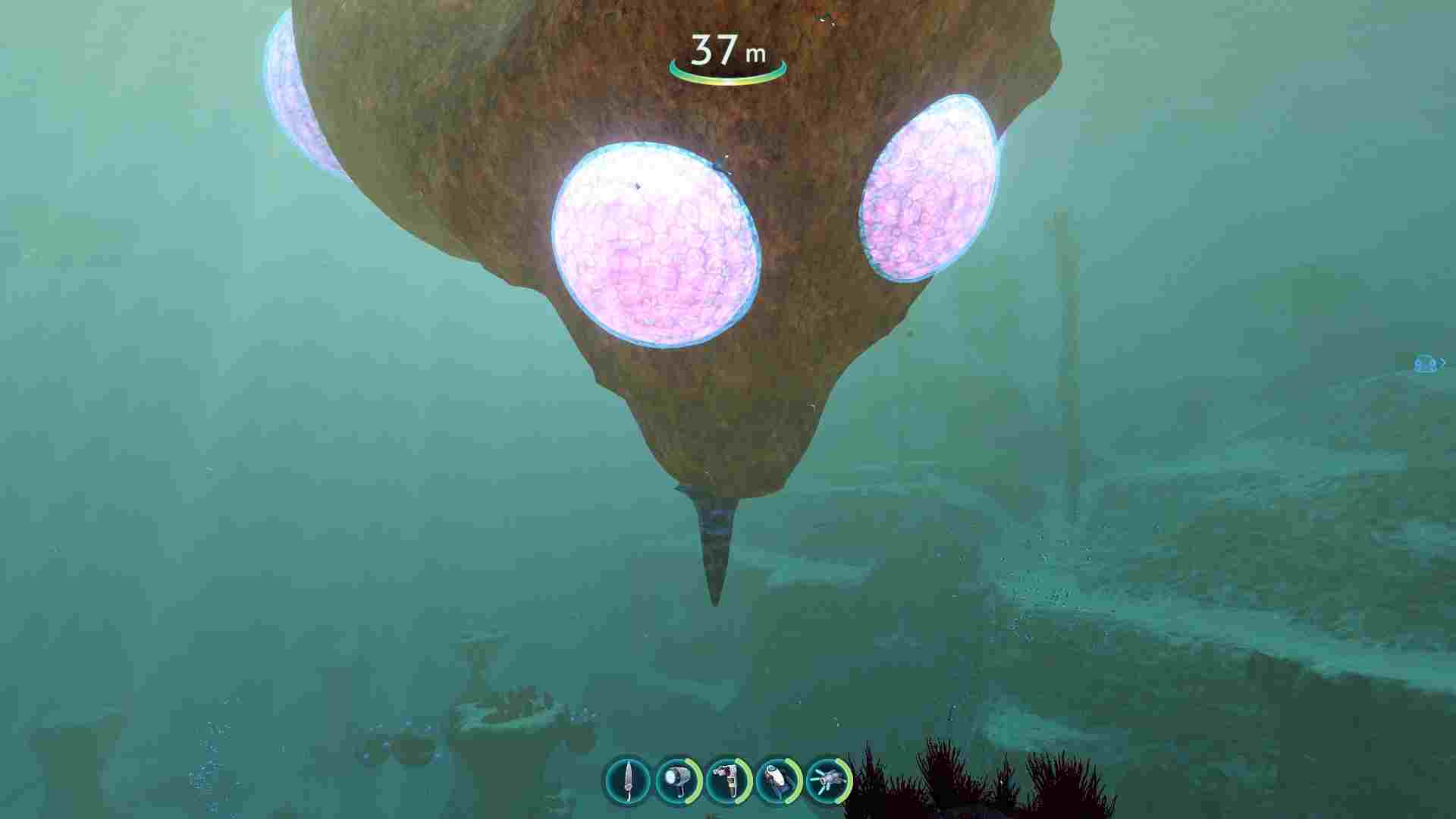 2024092535820389.jpg