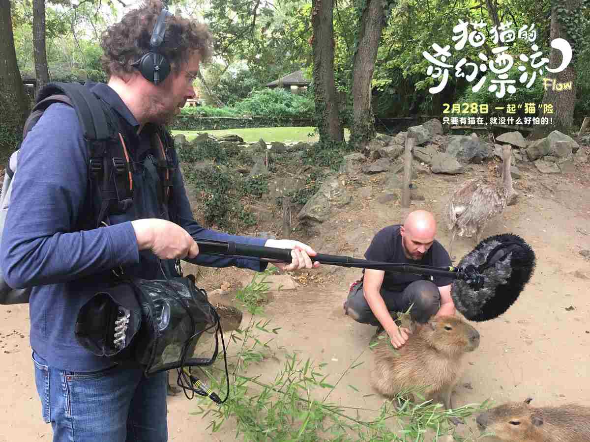 猫猫奇幻漂流幕后特辑揭秘萌宠诞生过程