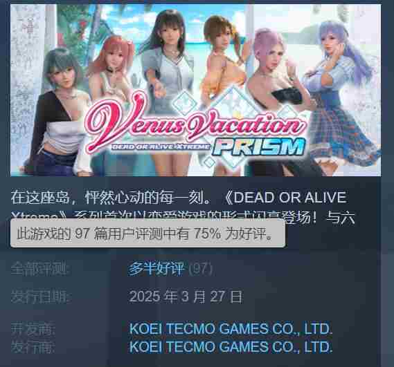 死或生新作Steam好评如潮粉丝向力作备受赞誉