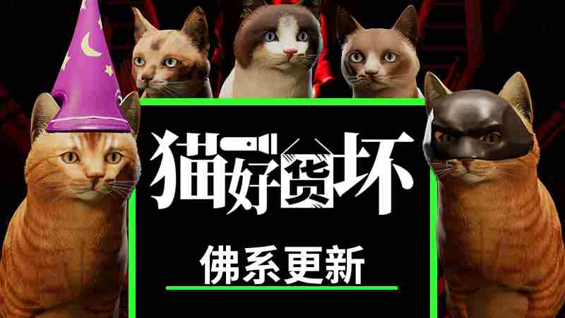 猫好货坏全新重大更新来袭