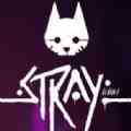 迷失Stray