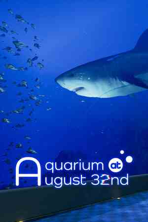 8月32日的水族館