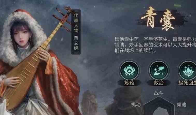 三国谋定天下职业怎么选择