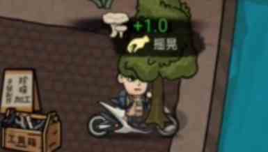 收获白色蘑菇
