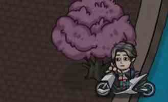 收获棕色蘑菇