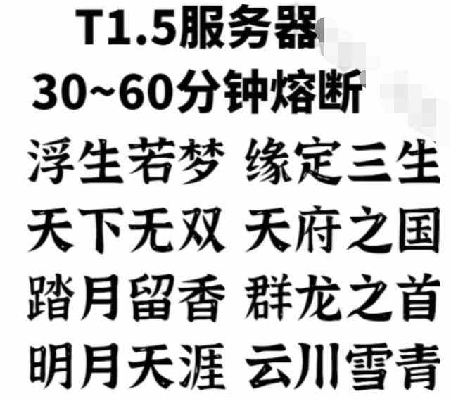 T1.5服务器