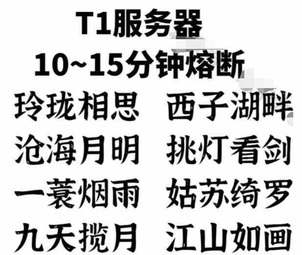 T1服务器