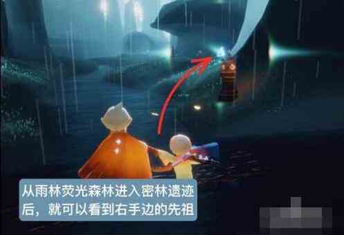 雨林管道图