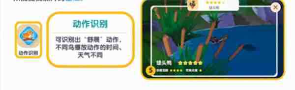 心动小镇观鸟图鉴 心动小镇观鸟注意事项