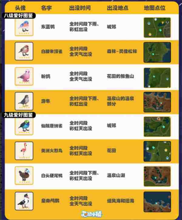 心动小镇观鸟图鉴 心动小镇观鸟注意事项