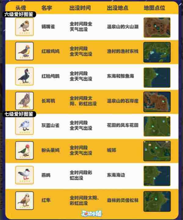 心动小镇观鸟图鉴 心动小镇观鸟注意事项