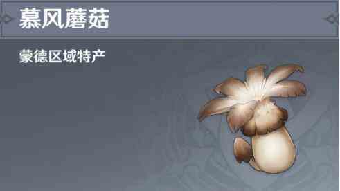慕风蘑菇
