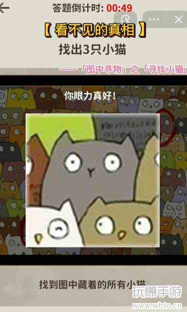 看不见的真相寻找小猫攻略