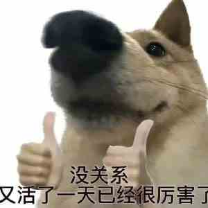 网络用语oi梗的意思介绍