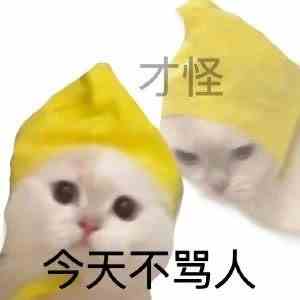 网络用语oi梗的意思介绍