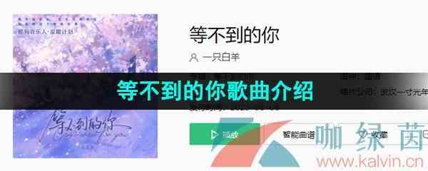 《抖音》等不到的你歌曲介绍