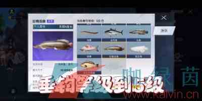 《和平精英》绿洲世界巨骨舌鱼钓取位置一览