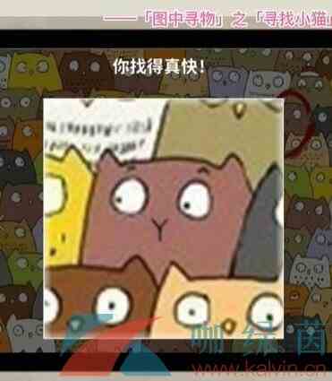 《看不见的真相》寻找小猫找出三只小猫