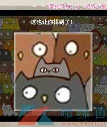 《看不见的真相》寻找小猫找出三只小猫
