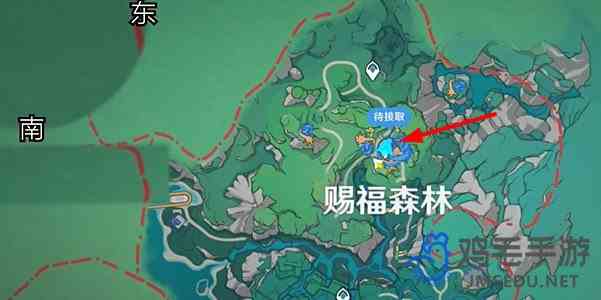 《原神》4.8森林与公主任务攻略
