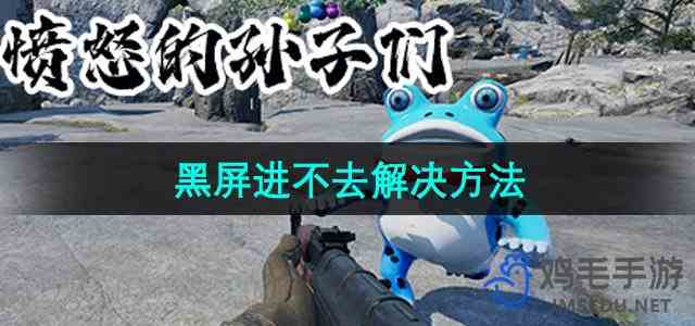 《愤怒的孙子们》黑屏进不去解决方法
