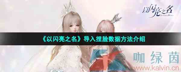 《以闪亮之名》导入捏脸数据方法介绍
