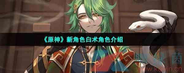 《原神》新角色白术角色介绍