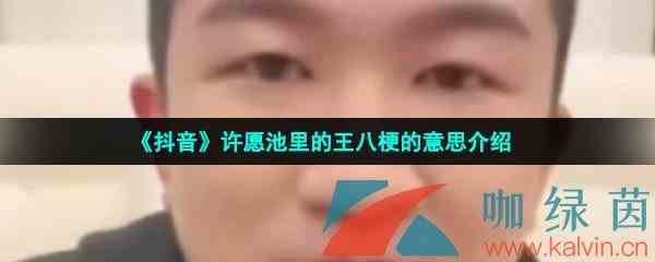 《抖音》许愿池里的王八梗的意思介绍