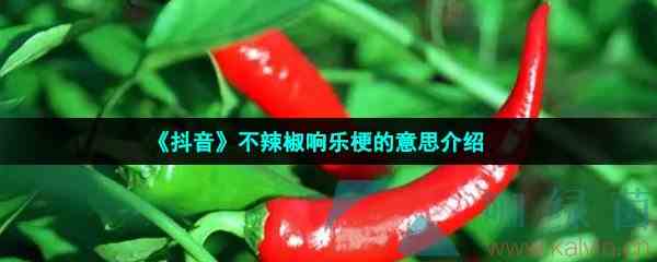 《抖音》不辣椒响乐梗的意思介绍