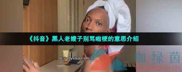 《抖音》黑人老嫂子别骂啦梗的意思介绍