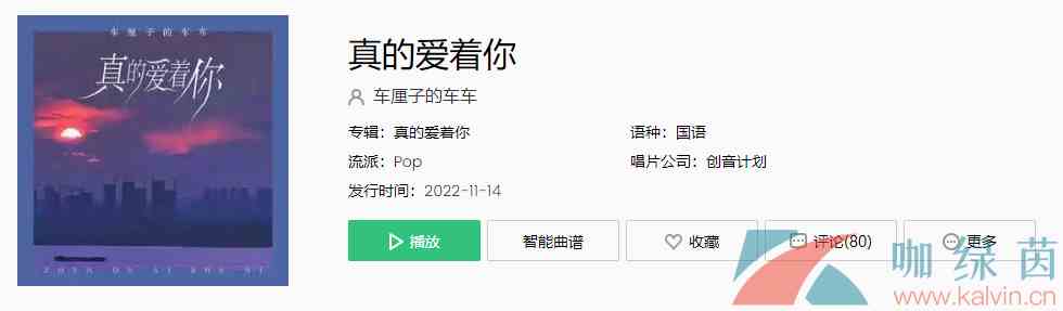 《抖音》真的爱着你歌曲介绍