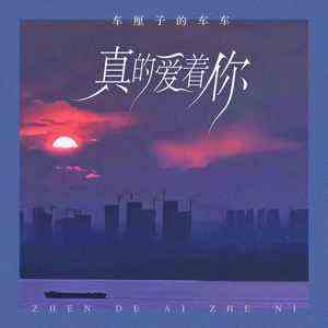 《抖音》真的爱着你歌曲介绍