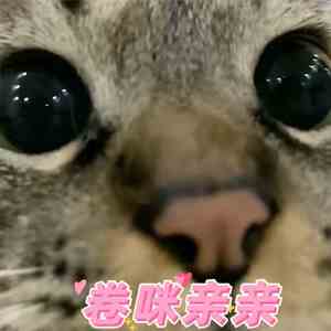 《抖音》团宠酸奶妹表情包分享