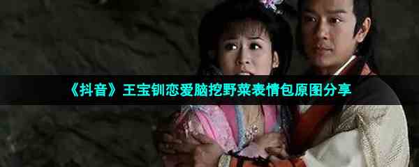 《抖音》王宝钏恋爱脑挖野菜表情包原图分享
