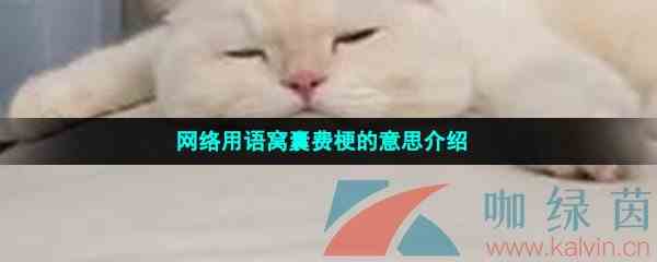 网络用语窝囊费梗的意思介绍