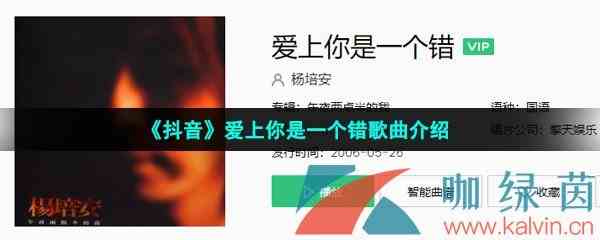 《抖音》爱上你是一个错歌曲介绍