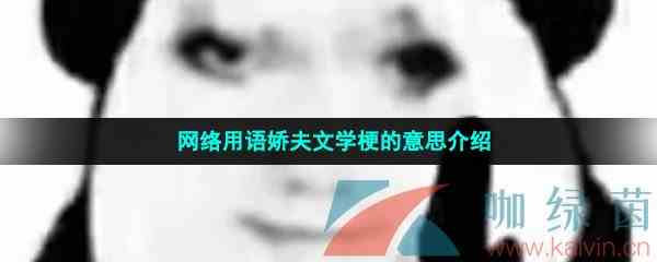 网络用语娇夫文学梗的意思介绍