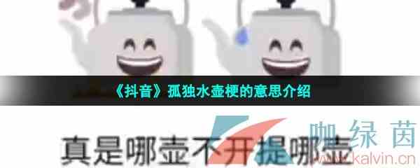 《抖音》孤独水壶梗的意思介绍
