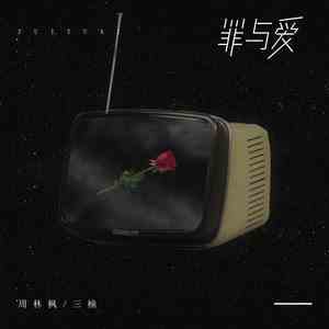 《抖音》罪与爱歌曲介绍