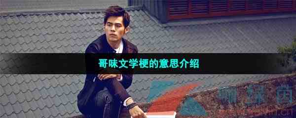 哥味文学梗的意思介绍