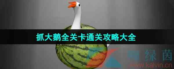 《抓大鹅》游戏全关卡通关攻略大全