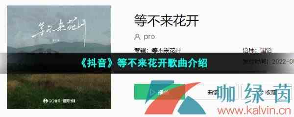 《抖音》等不来花开歌曲介绍