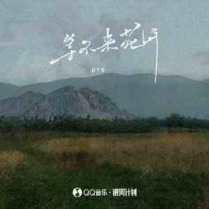 《抖音》等不来花开歌曲介绍