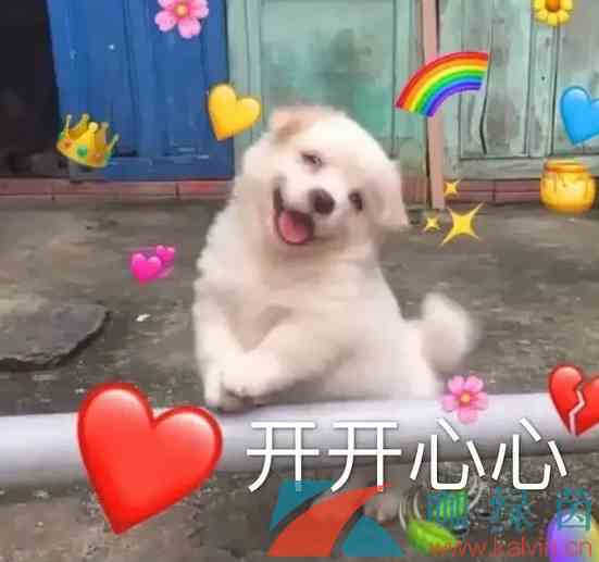 网络用语小学生春游综合征梗的意思介绍