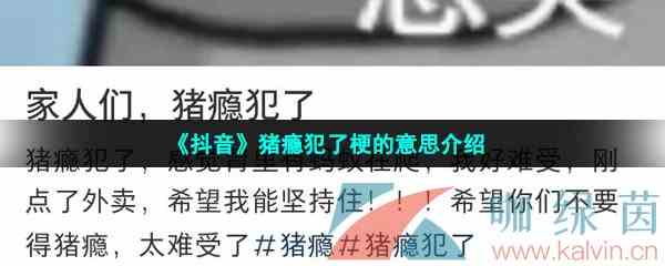 《抖音》猪瘾犯了梗的意思介绍