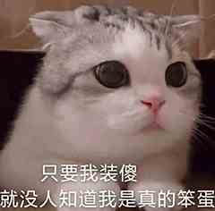 网络用语我真是个笨蛋梗的意思介绍
